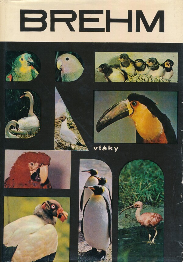 Alfred Edmund Brehm: ŽIVOT ZVIERAT 3 - VTÁKY