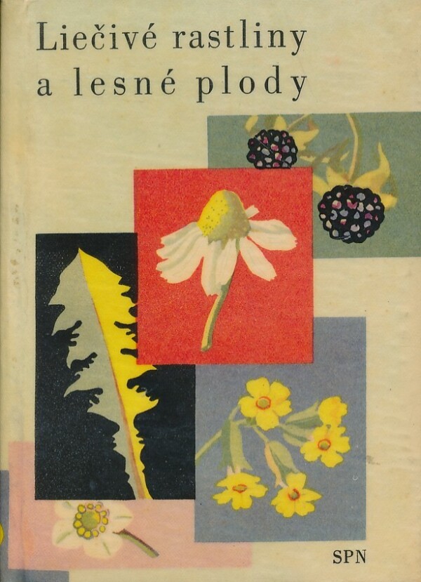 Marta Velgosová: LIEČIVÉ RASTLINY A LESNÉ PLODY
