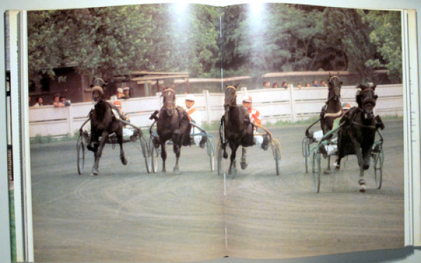 Dossenbach Monique et Jean Kölher Jean: LES GRANDS HARAS DU MONDE