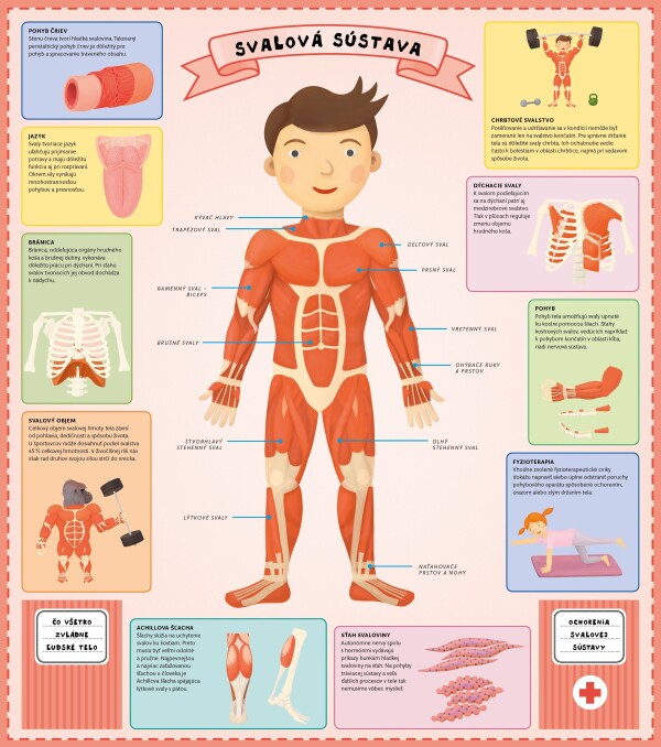Oldřich Růžička: ATLAS ĽUDSKÉHO TELA PRE DETI