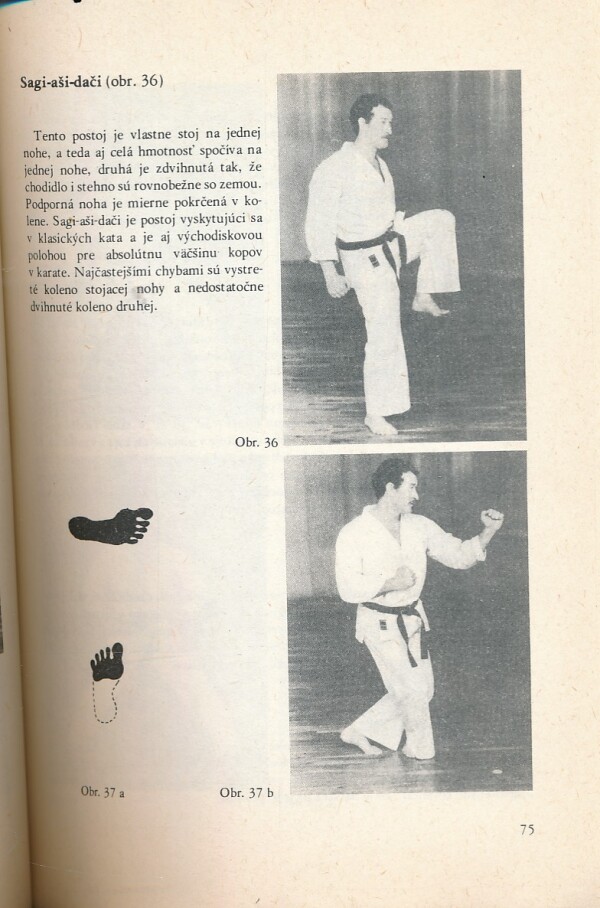 František Šebej, Ladislav Klementis: KARATE