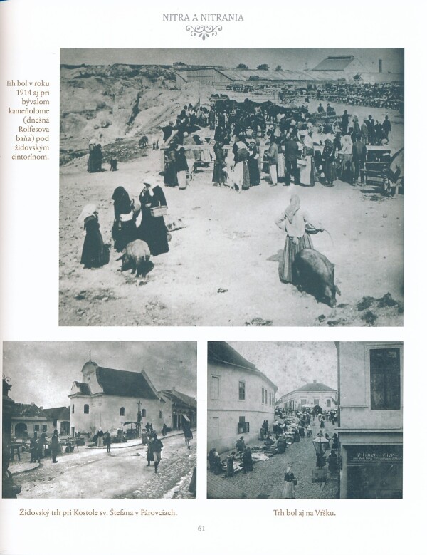Vladimír Bárta a kol.: NITRA A NITRANIA 1