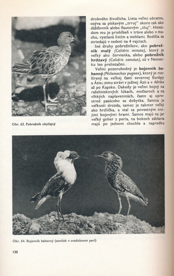 Alfred Edmund Brehm: ŽIVOT ZVIERAT 3 - VTÁKY