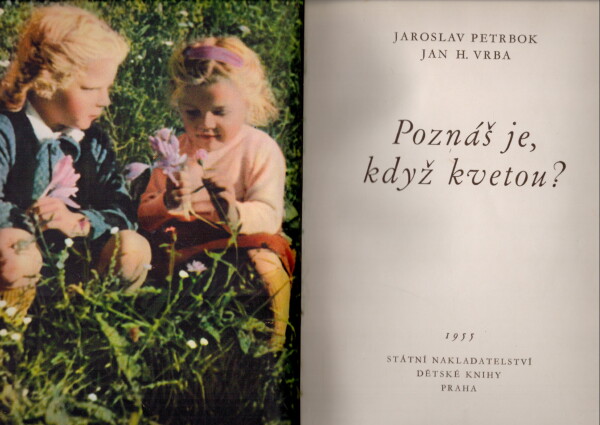 Jaroslav Petrbok, Jan H. Vrba: POZNÁŠ JE, KDYŽ KVETOU?