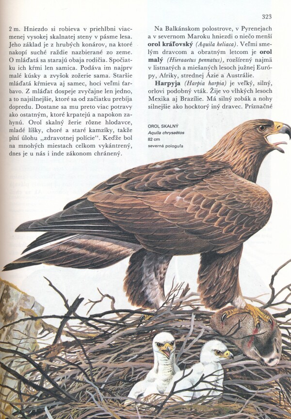 SVET ŽIVOČÍŠNEJ RÍŠE