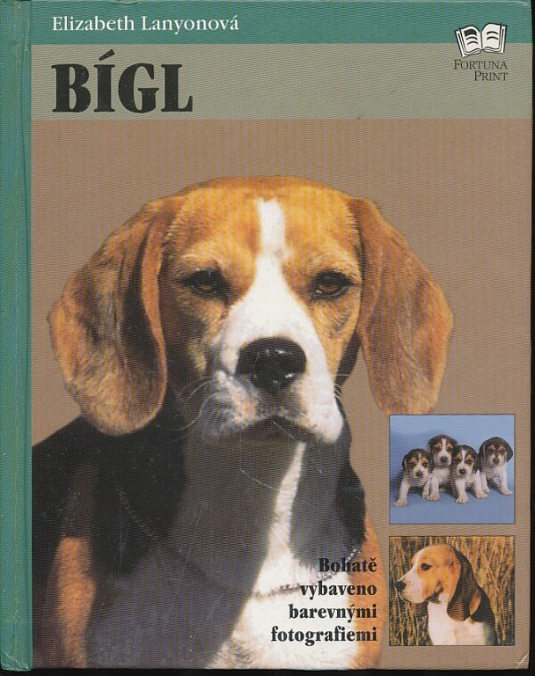 Elizabeth Lanyonová: BÍGL