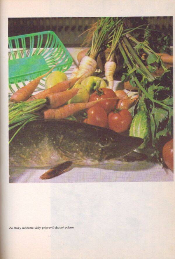 E. Balážik, M. Ulehla, V. Daňo, J. Ludwig: RYBA NA TANIERI CELÝ ROK