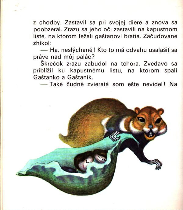 Božena Mačingová: GAŠTANKO A GAŠTANÍK