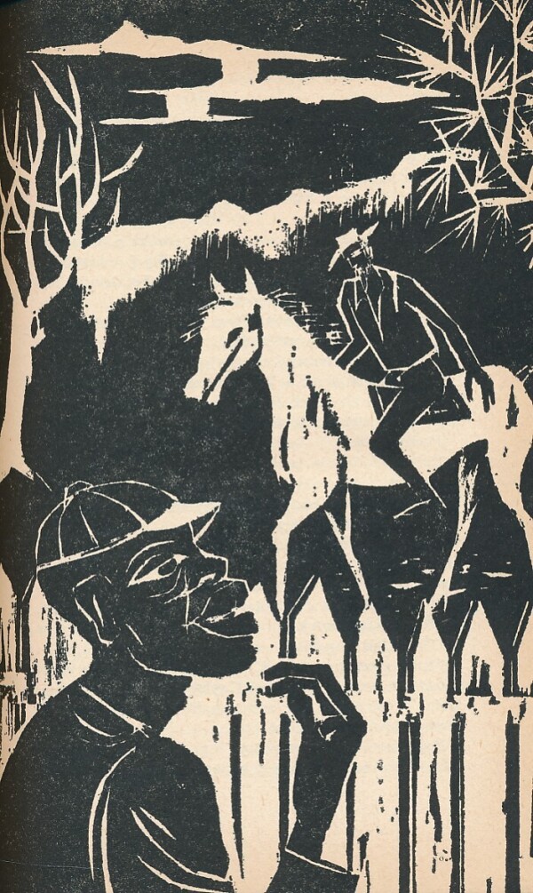 Thomas Mayne Reid: KRÁSNA OTROKYŇA