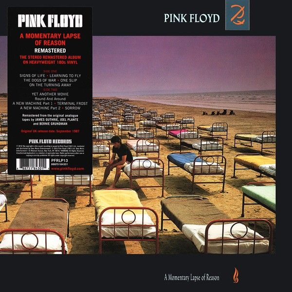 Pink Floyd: A MOMENTARY LAPES OF REASON - LP