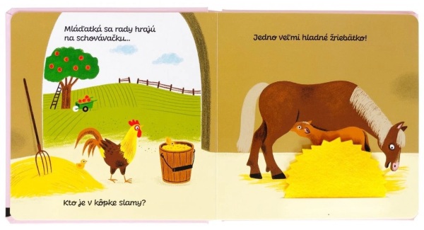 Aurélie Guillerey: SCHOVÁVAČKA S MLÁĎATAMI
