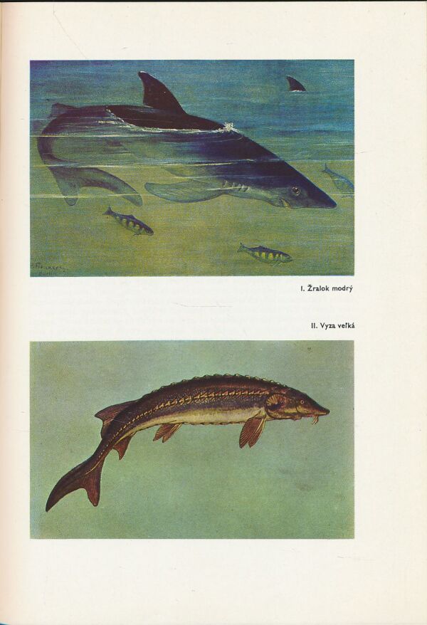 Alfred Brehm: Život zvierat 2 - ryby, obojživelníky, plazy