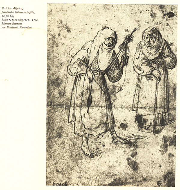 Hana Volavková: HIERONYMUS BOSCH