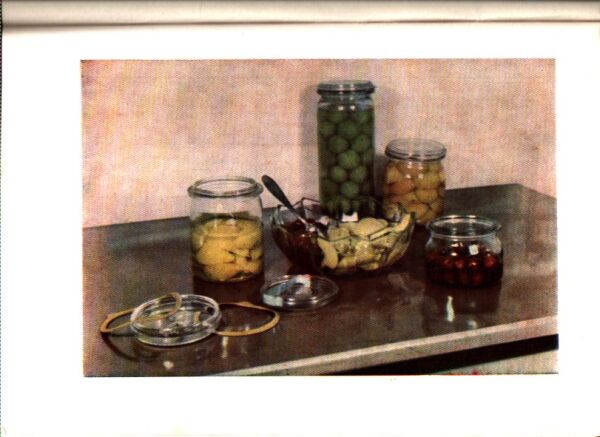 Jaroslav Balaštík: KONZERVOVANIE OVOCIA, ZELENINY A MÄSA V DOMÁCNOSTI