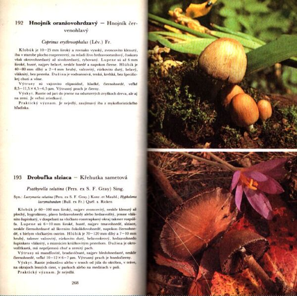 Aurel Dermek: ATLAS NAŠICH HÚB