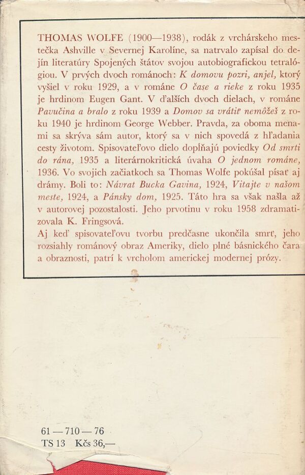 Thomas Wolfe: K domovu pozri, Anjel