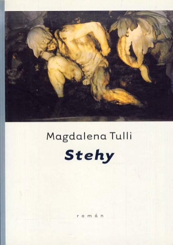 M. Tulli: STEHY