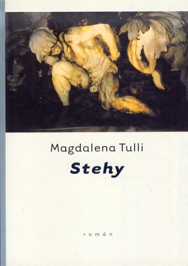 M. Tulli: STEHY