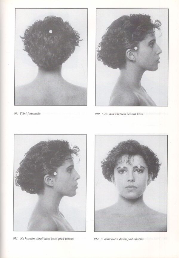 Josef Suchý: LIDOVÉ LÉČITELSTVÍ ANEB NÁVRAT K PŘÍRODE