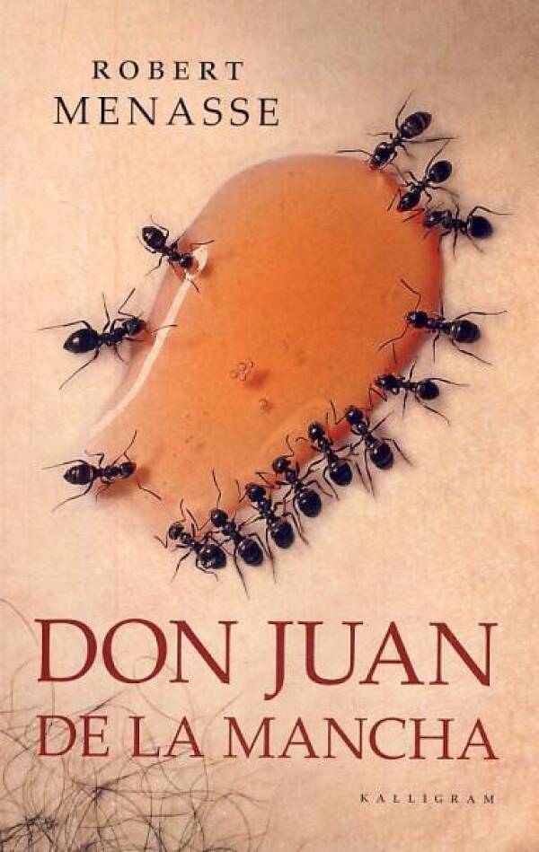 Robert Menasse: DON JUAN DE LA MANCHA