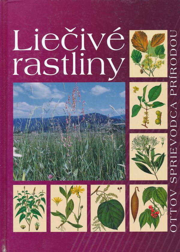 LIEČIVÉ RASTLINY