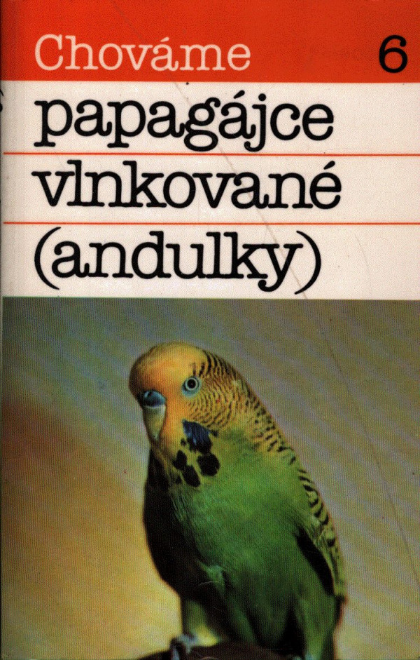 B. Ambruš: