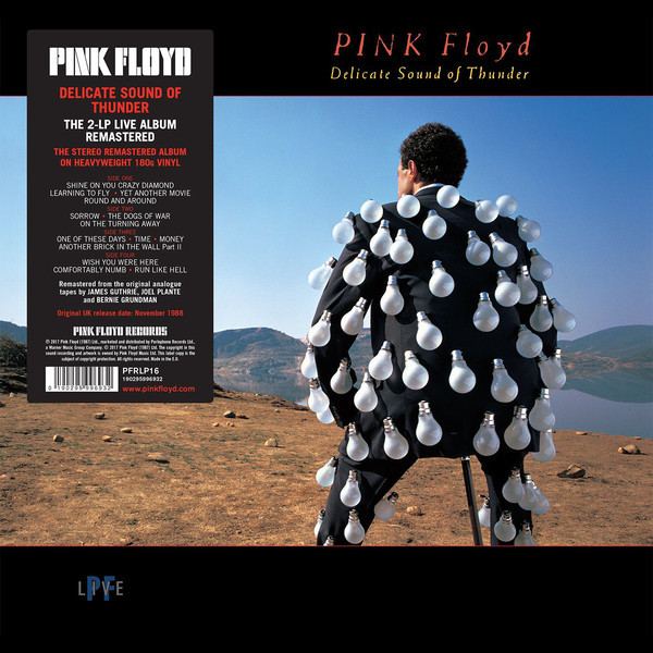 Pink Floyd: DELICATE SOUND OF THUNDER - LP