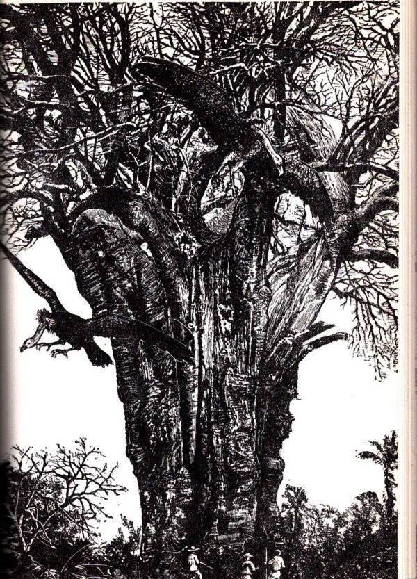 Jules Verne: PÄTNÁSŤROČNÝ KAPITÁN