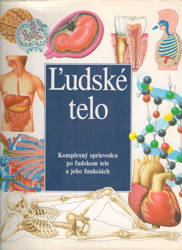 ĽUDSKÉ TELO