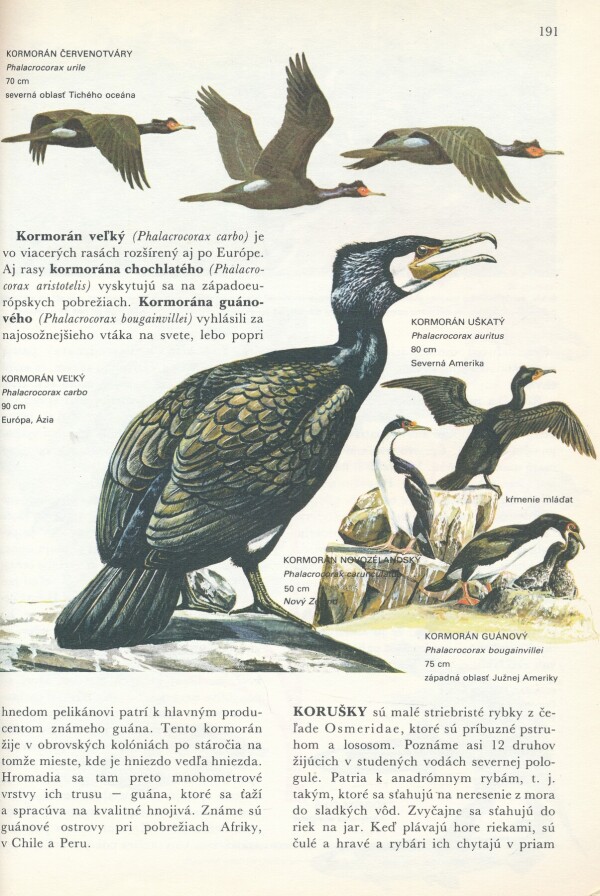 SVET ŽIVOČÍŠNEJ RÍŠE