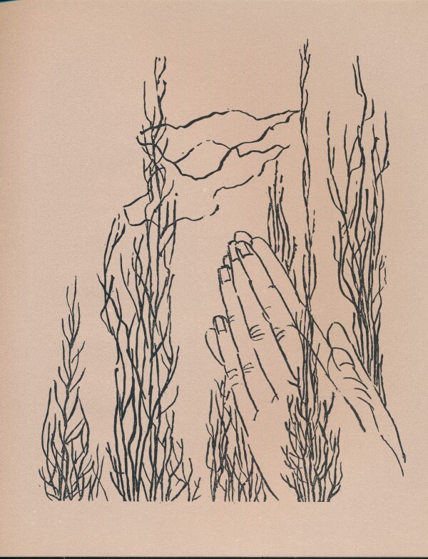 Maša Haľamová: SMRŤ TVOJU ŽIJEM