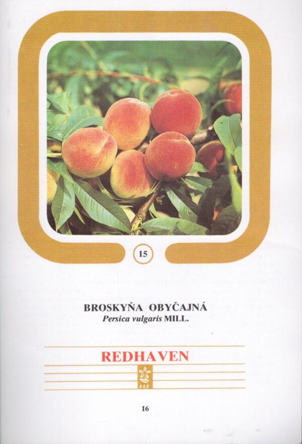 Ivan Hričovský: POMOLÓGIA KÔSTKOVÍN