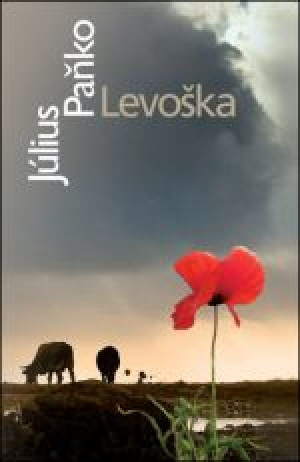 Július Paňko: