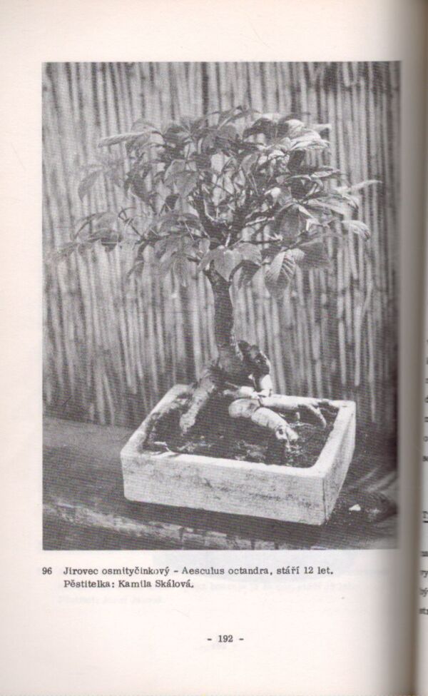 V. Hrdlička, Z. Hrdlička, P. Herynek: BONSAI - MINIATURNÍ STROM V MISCE