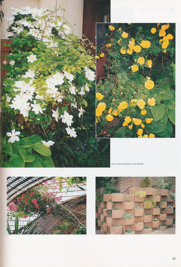 Hermann Rittweger: Výstavba v záhrade
