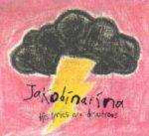 Jakobínarína: HIS LYRICS ARE DISASTROUS