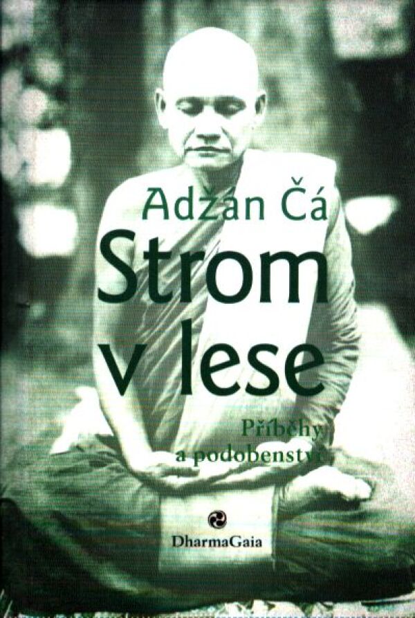 Adžán Čá: STROM V LESE