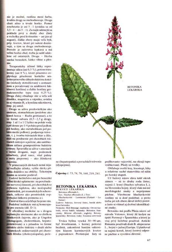 J. Kresánek, J. Krejča: ATLAS LIEČIVÝCH RASTLÍN A LESNÝCH PLODOV