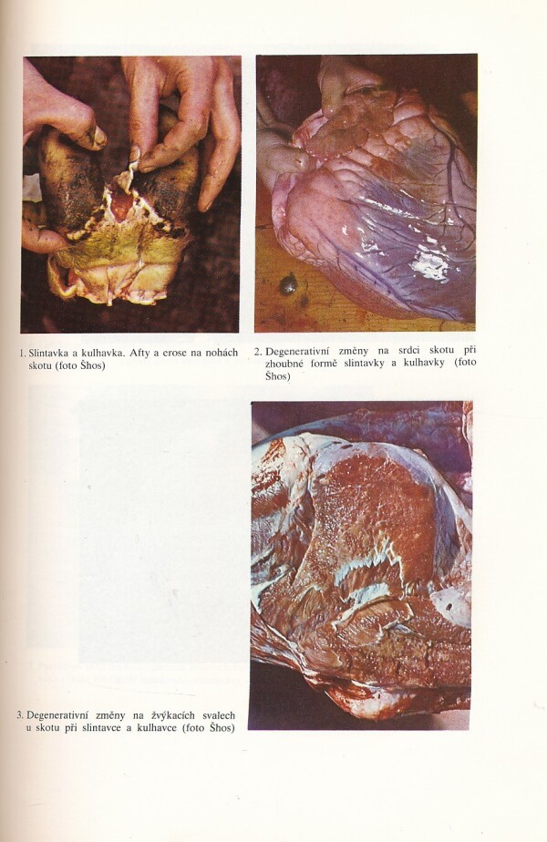 J.O. Vrtiak, K. Hejlíček: ŠPECIÁLNA EPIZOOTOLÓGIA 2