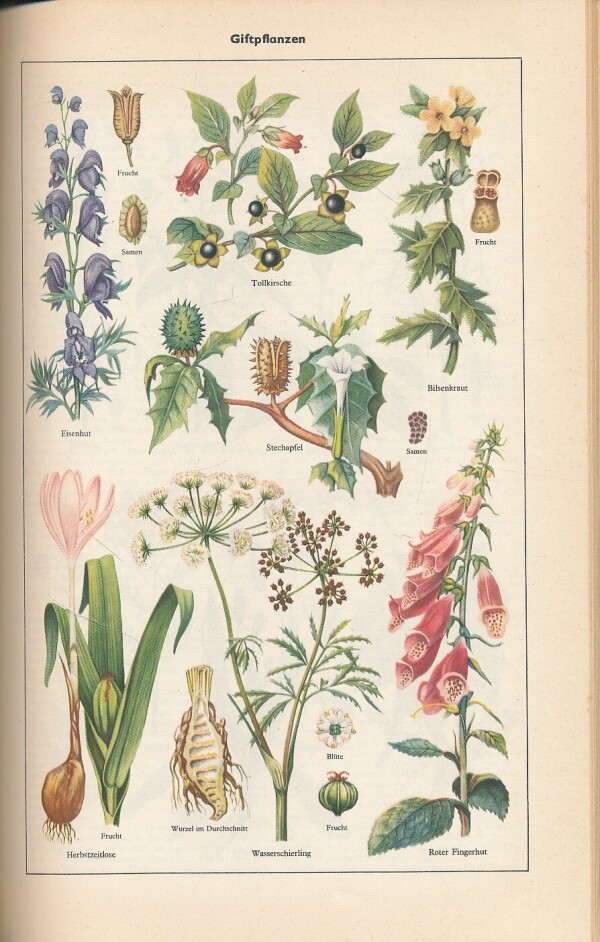 LEXIKON A-Z IN EINEM BAND