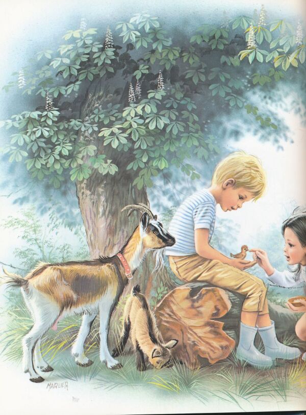 Marcel Marlier: Tomáš a Alica objavujú more