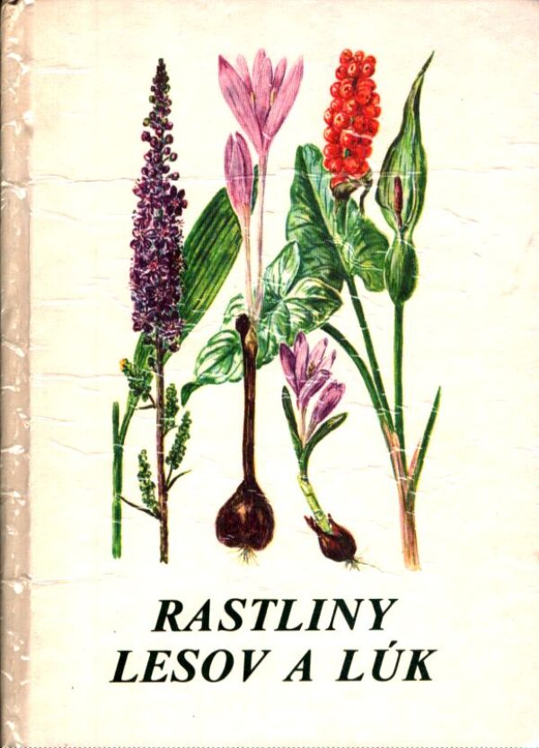 I. Csapody, V. Csapodyová, S. Jávorka: RASTLINY LESOV A LÚK