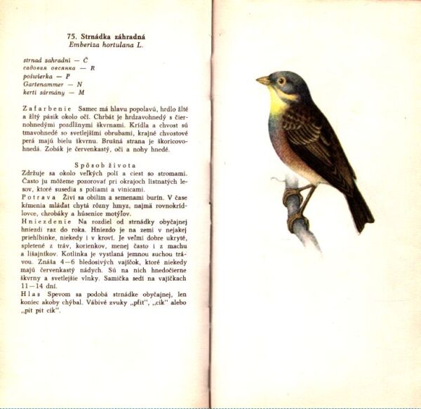 František Vilček, Ján Švec: NAŠE VTÁKY