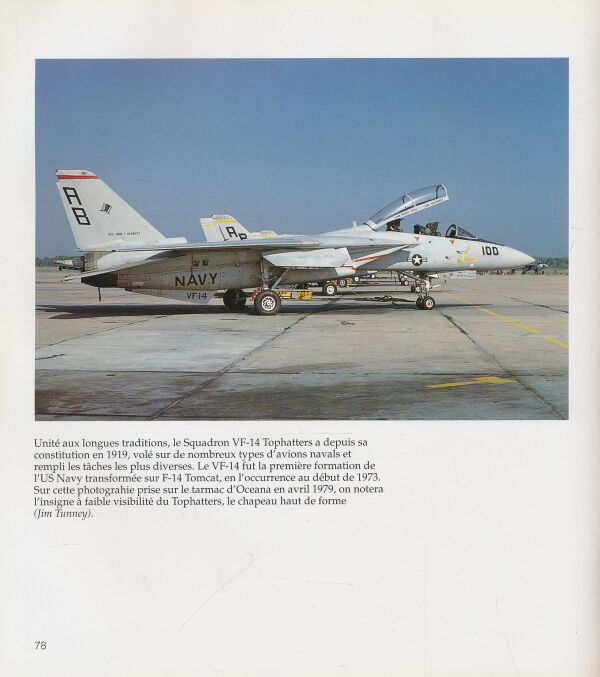 David F. Brown, Robert F. Dorr: Pilotes de Tomcat