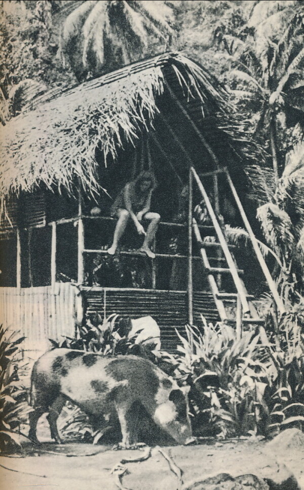 Thor Heyerdahl: FATU HIVA