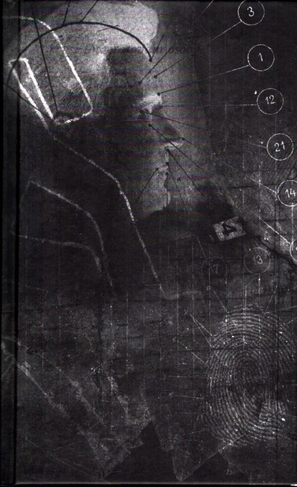 Dominik Dán: BÁSNIK