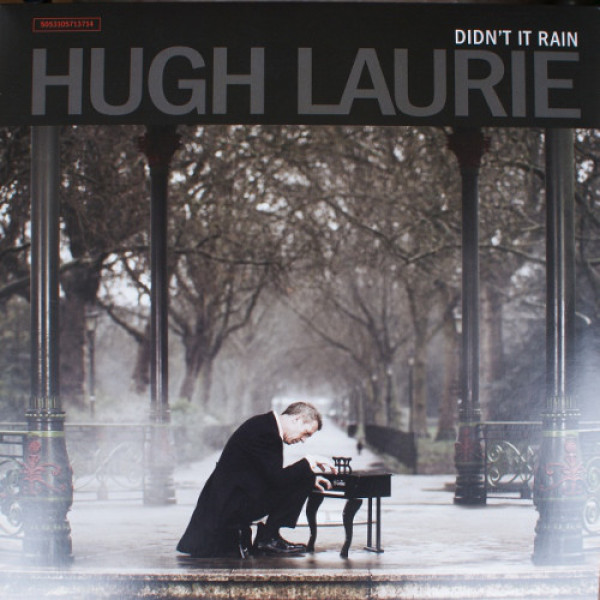 Hugh Laurie: DIDN'T IT RAIN - 2 LP