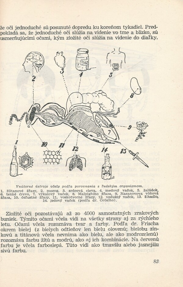 Koloman NOvacký: VČELÁRSTVO