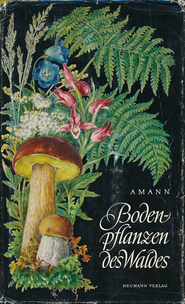 Gottfried Amann: BODENPFLANZEN DES WALDES