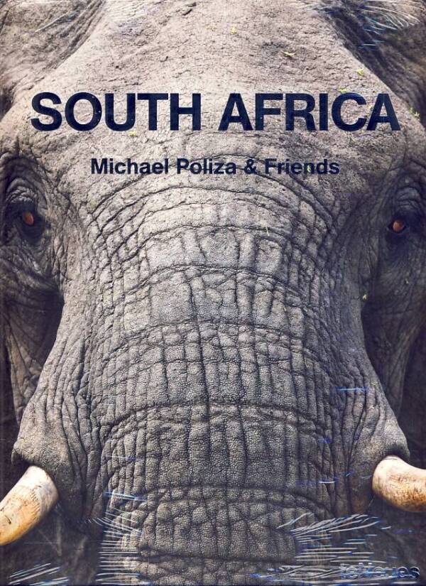 Michael and Friends Poliza: